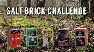 The ULTIMATE Salt Brick Challenge! Which Flavor Does Wildlife Prefer?!