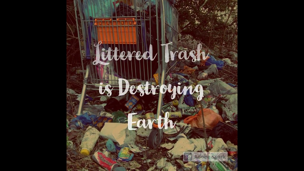 Pollution Harms Animals and Humans Alike