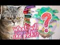 MY CAT PICKS MY ART SUPPLIES 😸 Art Challenge