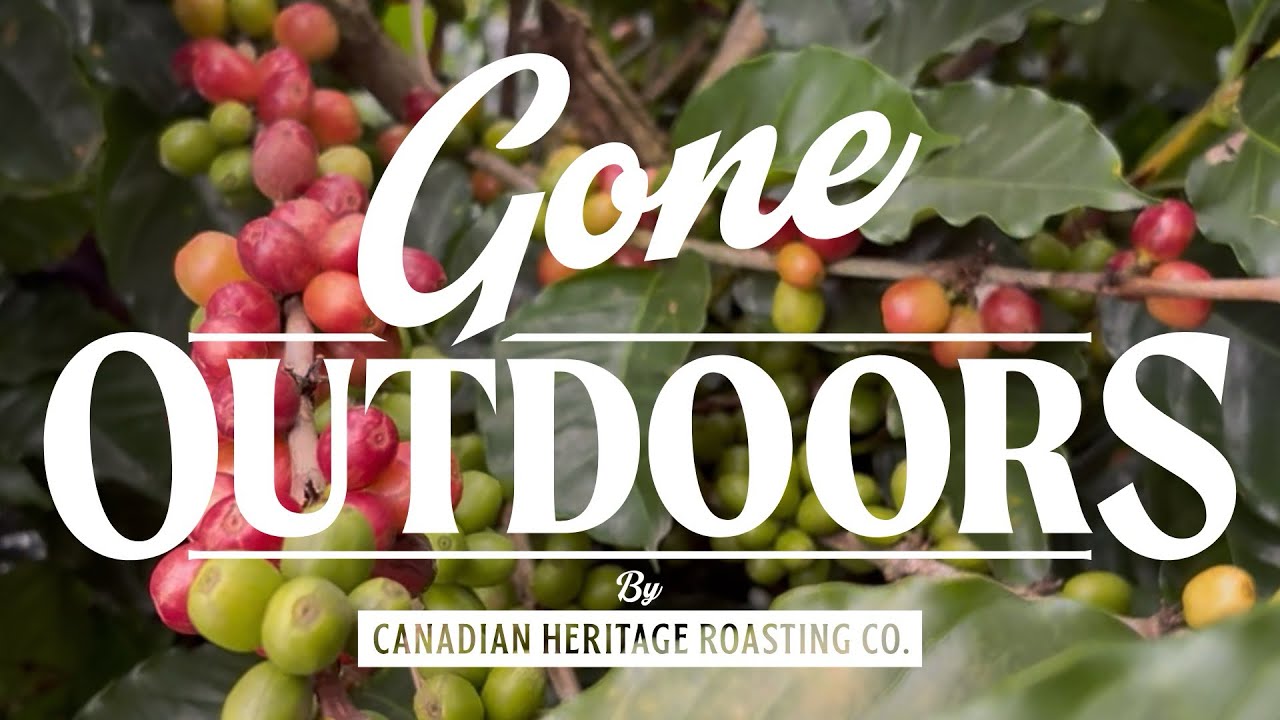 Sourcing Coffee (and Beers) in Guatemala 🇬🇹 | Part 1