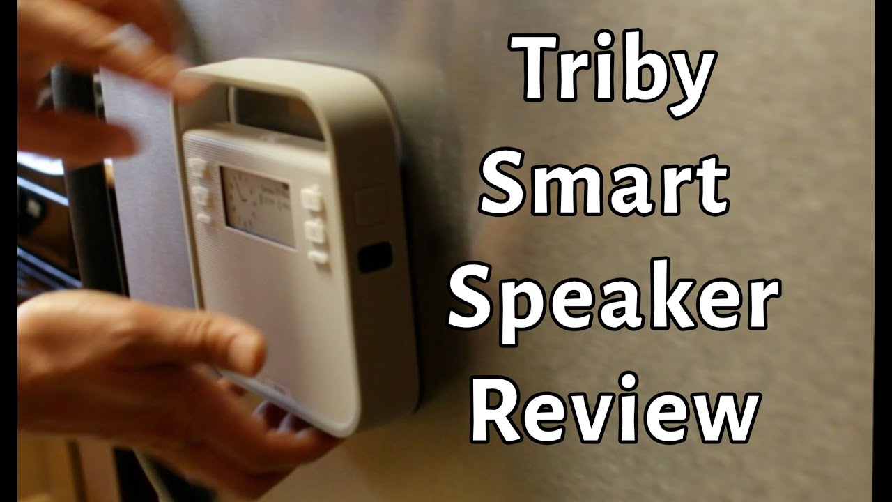 triby smart speaker