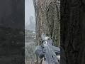 This Combat Looks Too Real… #gaming #realistic #fpsgameplay #stalker