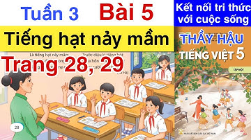 Tiếng Việt 5 Tuần 3 Bài 5 | TIẾNG HẠT NẢY MẦM | Trang 28 29 KẾT NỐI TRI THỨC | Tập 1