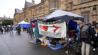 Pro-Palestinian protesters camp out at Australian universities