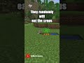 Rabbits Steal! #shorts #minecraft #minecraftshorts #gaming #mcyt