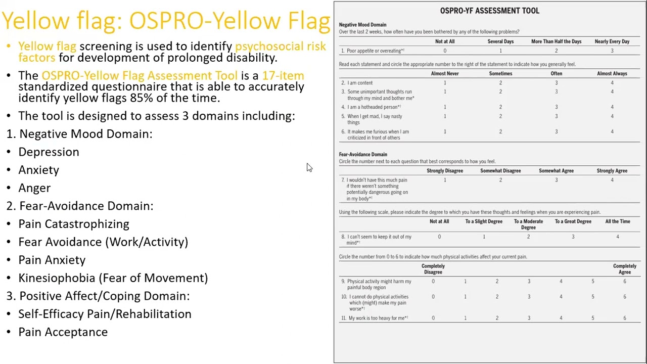 The Shoulder Evidence Informed Physical Therapy Patient Management Part 2