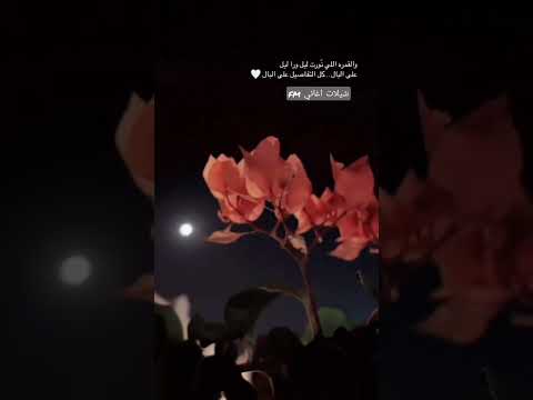 عبد الله ال فروان تعبت اشتاق