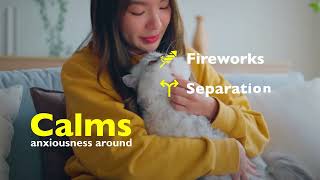 Bach Flower Remedies - Rescue Remedy Pet #dog #pets #pet #petlover Bach Flower Remedies - Rescue Remedy Pet #dog #pets #pet #petlover
