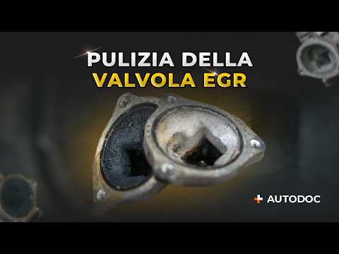 2 Ways to Clean the EGR Valve: Which is Best?