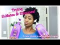 Trying Sulfates & Silicones! - A New Phase In My Journey Begins! - 4C Natural Hair - Natural Hair