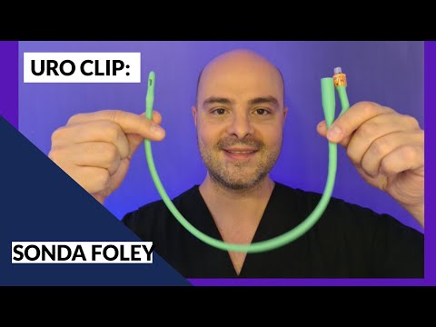 Vídeo: Com Funciona Una Sonda D'eco