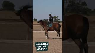 Lillys First Arena Ride: Just started under saddle