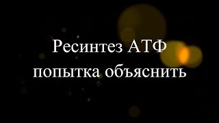 Самое главное, что нужно знать о тренировках в фитнес клубе  - ресинтез АТФ.