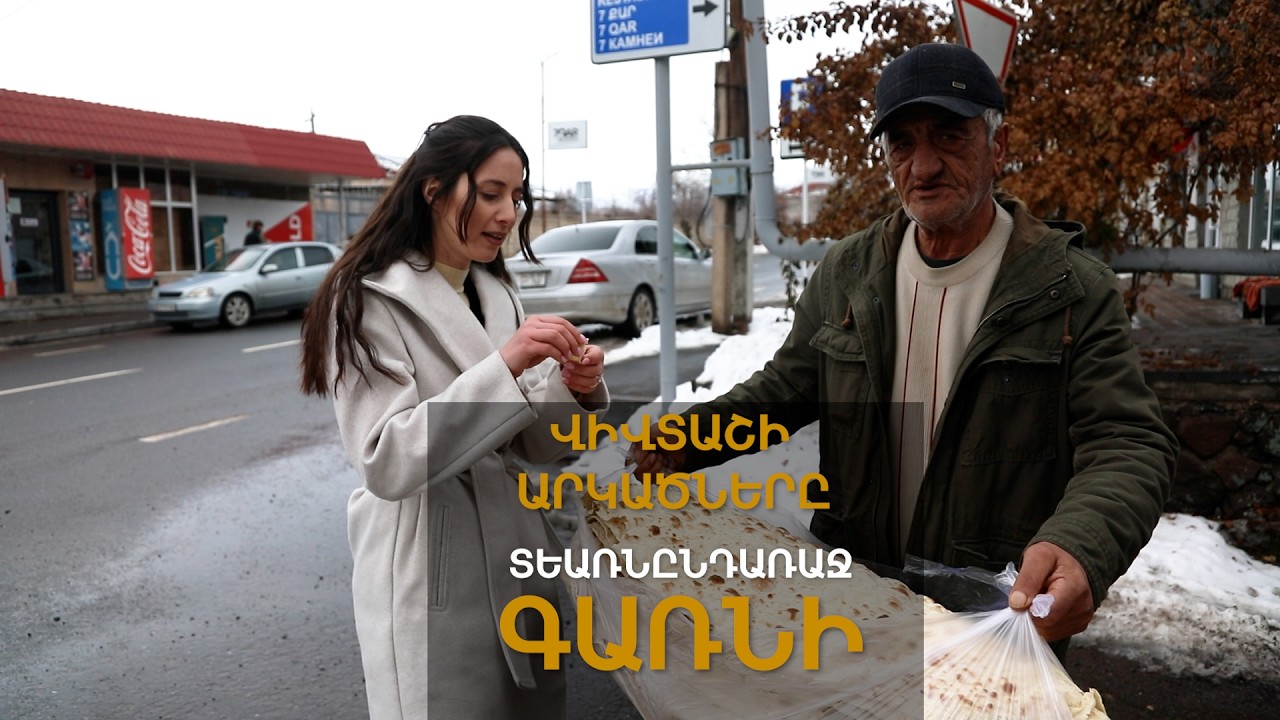 Վիվտաշի արկածները / Գառնի