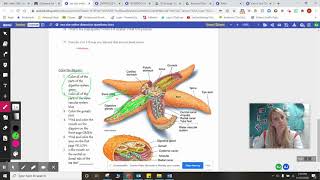 How to use Kami for assignments in Google Classroom