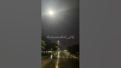 #قرآن #قران_كريم #قرآن_كريم #آية #سورة #طمأنينه #طمئن_قلبك #استمع #إستمع_وتدبر #استمع_بقلبك #مطر .