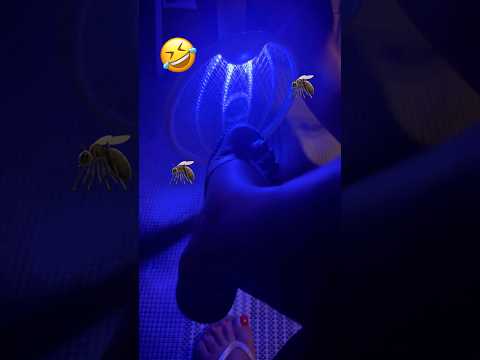 Wait for mosquito 😅🦟 #happyfeet #funny #mosquito