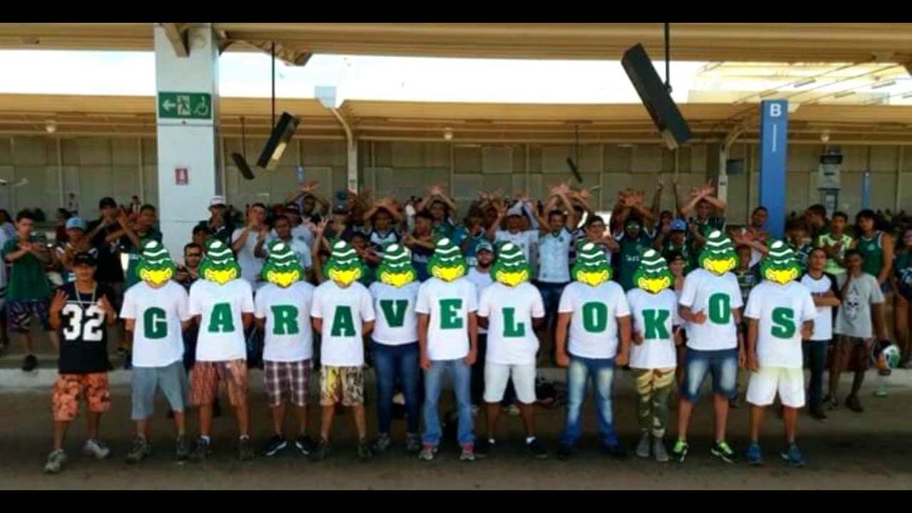 Garavelo até o fim - FJG - Gringo MC