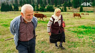 Жизнь на высоте | Документальный