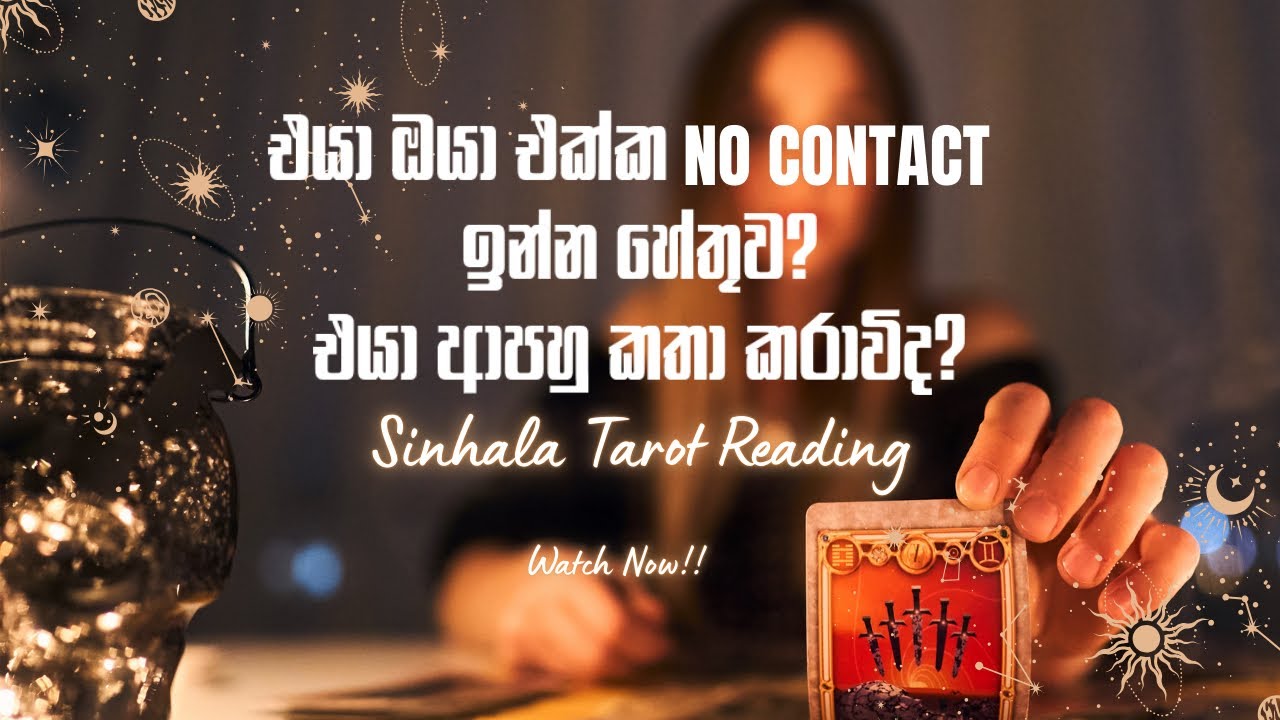 එයා ඔයා එක්ක No Contact ඉන්න හේතුව 🥺♥️ එයා ආපහු කතා කරාවිද? #tarot #srilanka #nocontact #sinhala 