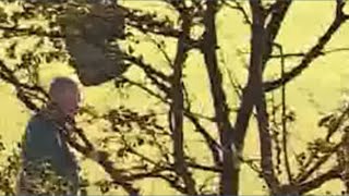 Missouri plane crash investigation begins