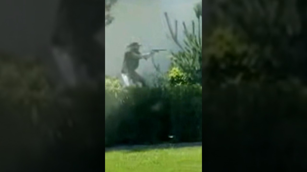 Witness recounts hero firing Idaho In-N-Out shooter Witness recounts hero firing Idaho In-N-Out shooter