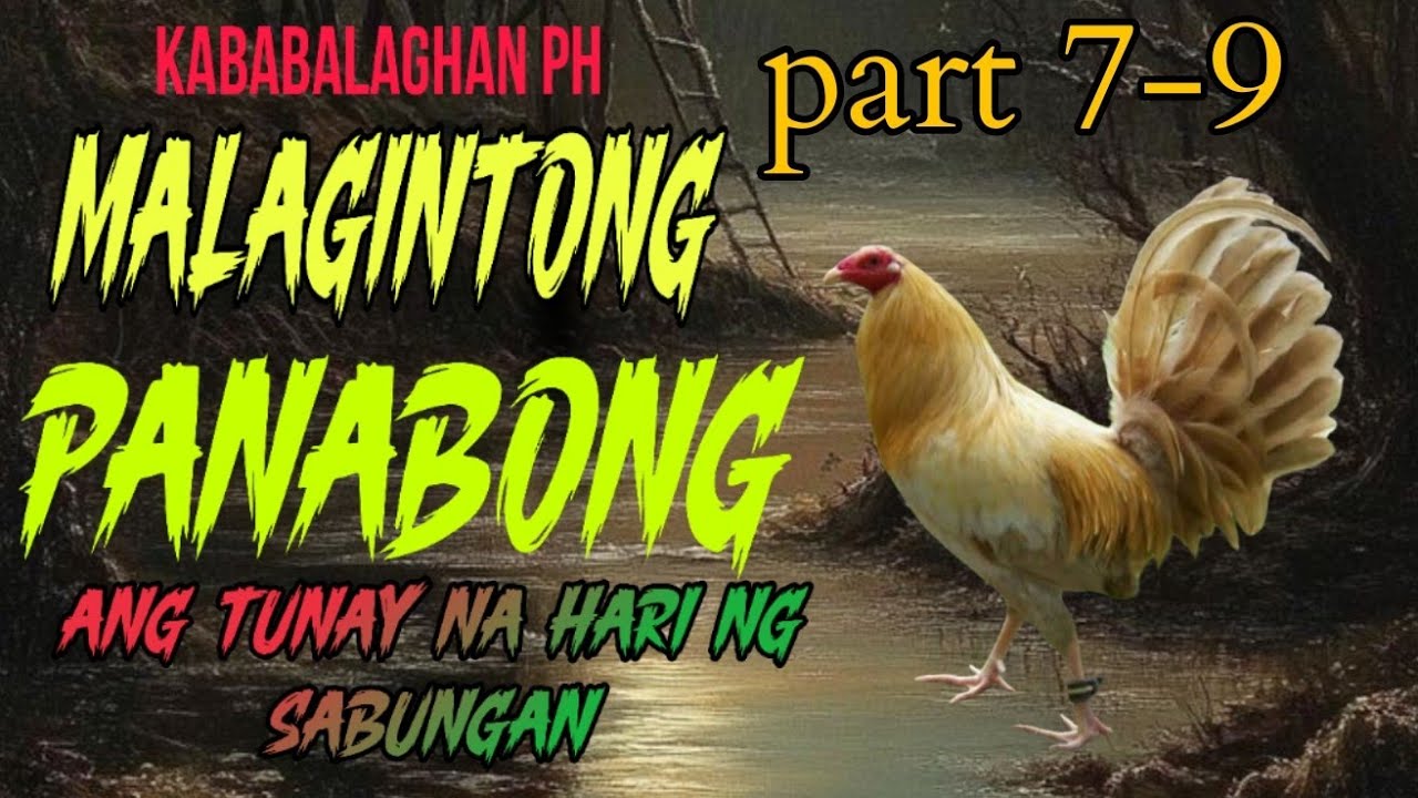 PART 7-9 I ANG MALAGINTONG PANABONG I TAGALOG STORIES I COMPILLATION I KABABALAGHAN PH