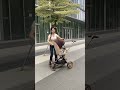 Viral Stroller Showdown!Which brand is your favorite? Let us know in the comments! 👇 #trending