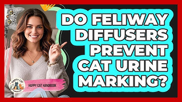 Do Feliway Diffusers Prevent Cat Urine Marking? - Happy Cat Handbook