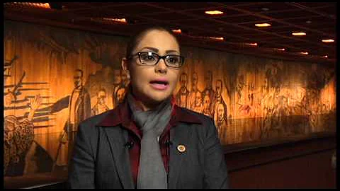 Entrevista Dip. Erika Briones (PRD)