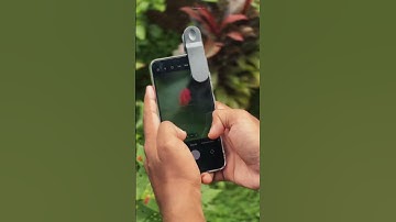 Focused On Perfection 🌱 |  Adcom 5 in 1 Mobile Phone Camera Lens Kit | #shotwithadcom #photography