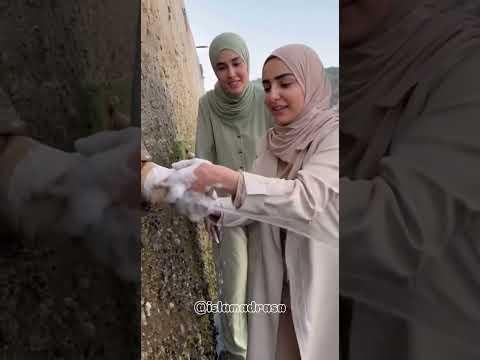 Islam Schoolgirl Student Pupil Classmates 