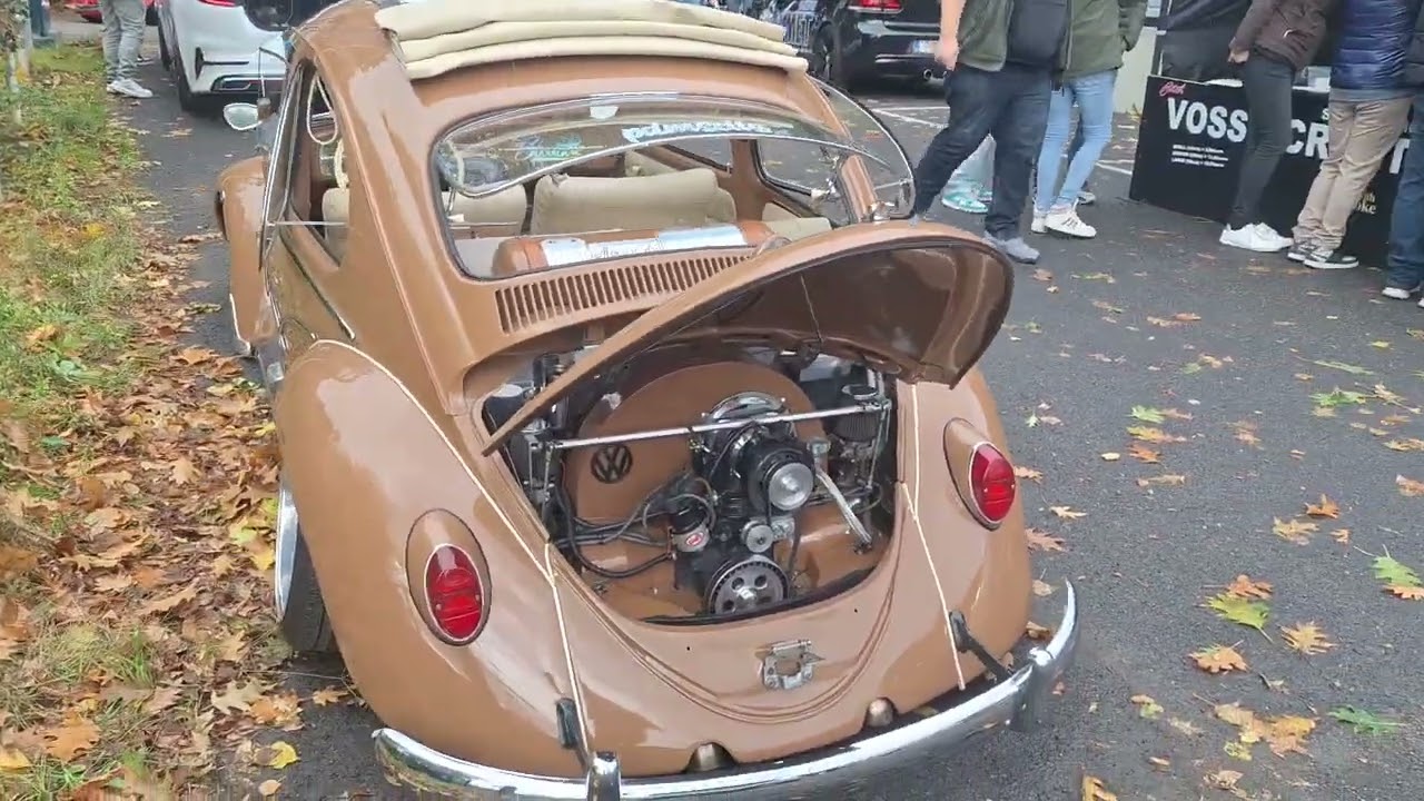VW Beattle Belgium