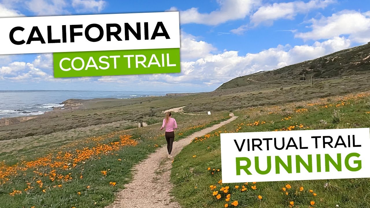 Epic California Coast  | Virtual Trail Run | Golden Poppies | 4K Ambient Run Video