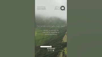 سورة الحج، آية (18)، تلاوة ناصر القطامي Surah Al-Hajj, Aya (18), Nasser Alqtami