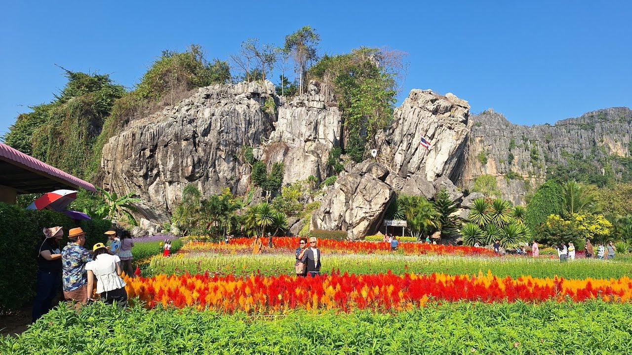 Dec 24-29, 2025: ห้วยน้ำดัง, บ้านมุง, บึงสีไฟ, ข้าวทุ่งเบญจาโฮมสเตย์