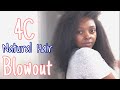 Thick 4C Natural Hair Blowout | Extreme Shrinkage and No Heat Damage