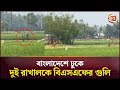        bsf  bangladesh border  channel 24