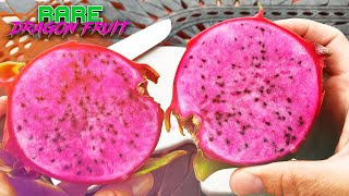 Cosmic Charlie Dragon Fruit TASTING and REVIEW / Superb grape-like flavor / GUESS the BRIX?