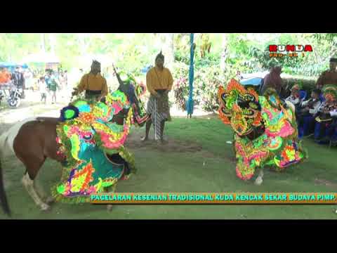 TERBARU KUDA KENCAK SEKAR BUDAYA PIM. CAK ARMAN KEDUNGJAJANG LIVE HJTY BPK YONO SOMBO