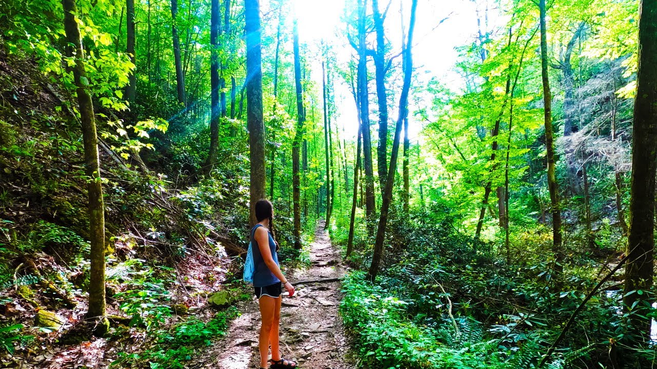 I almost DIED during a beautiful hike! - YouTube