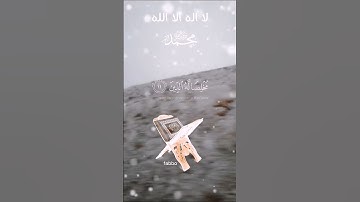 #ماهر_المعيقلي #تلاوة خاشعة #أرح سمعك وقلبك القرآن الكريم
