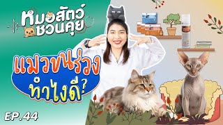 แมวขนร่วงทำยังไงดี | หมอสัตว์ชวนคุย EP44 by OSDCO Official 89 views 1 month ago 5 minutes, 43 seconds