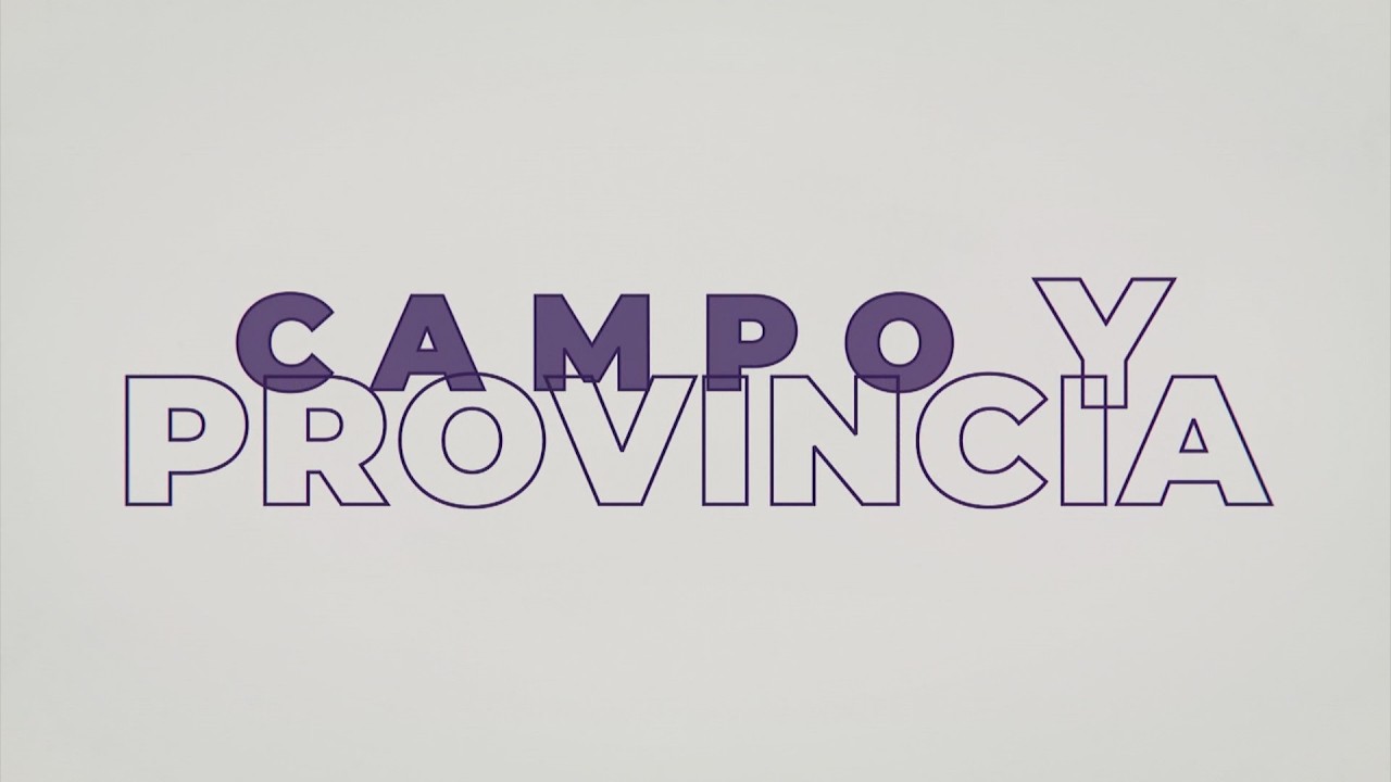 CAMPO Y PROVINCIA 2 DE JUNIO DE 2026