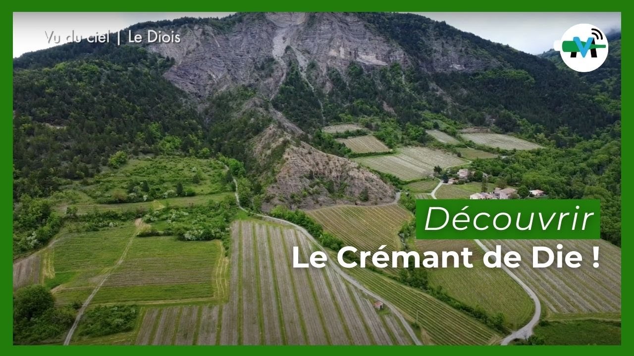 Crémant de Die, le plus confidentiel des crémants