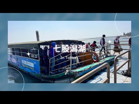 七股潟湖烤蚵吃到飽龍山號導覽解說