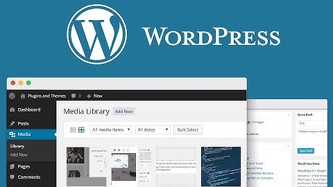 Lesson 29: How to Add Media (pdfs, jpgs, ...) to Posts and Pages in WordPress