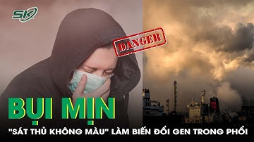 Bụi mịn – "Sát thủ không màu" làm biến đổi gen trong phổi bạn | SKĐS