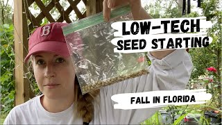 Grow Nasturtium FROM SEED | Starting Seeds WITHOUT A GREENHOUSE | Fall Gardening in Florida