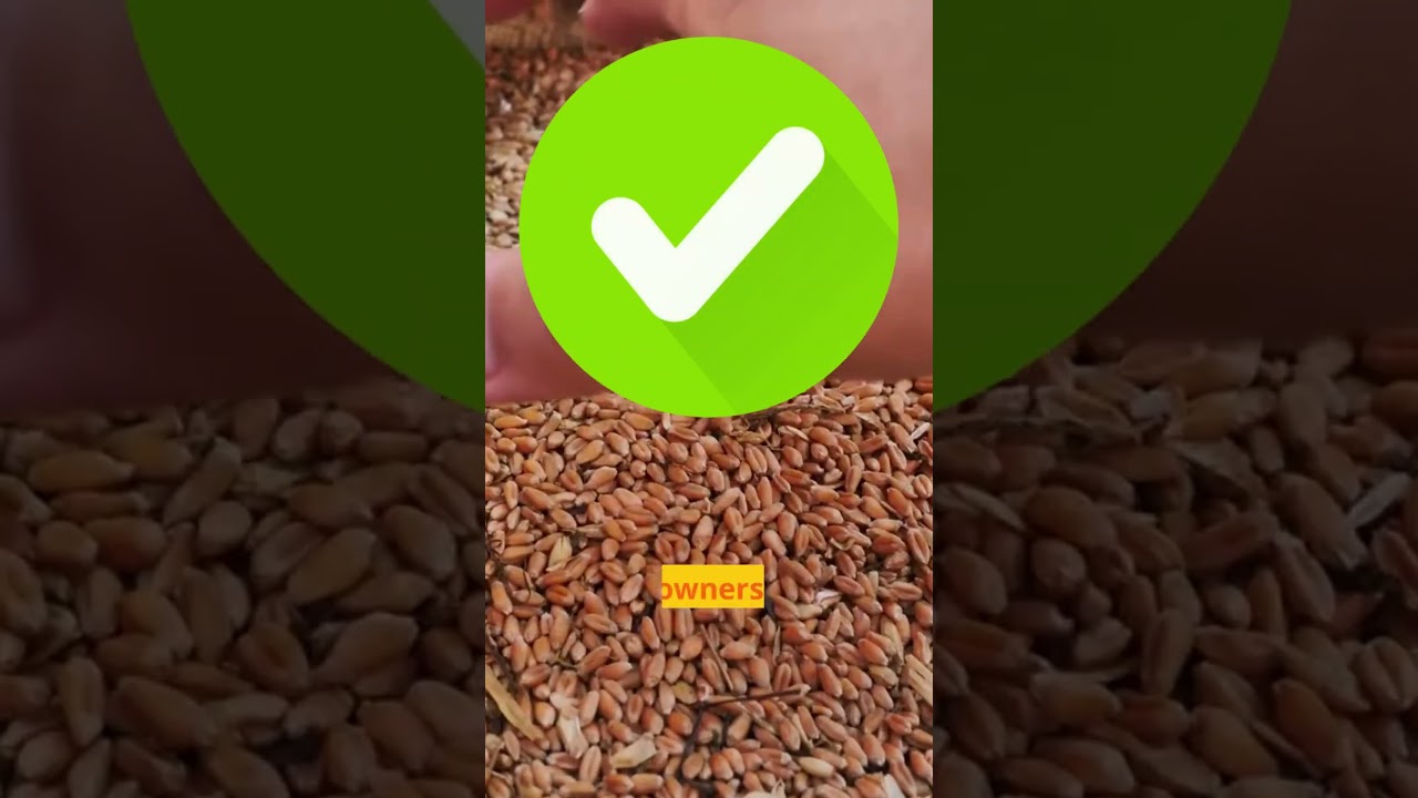 💡Revealed: Key Ingredients in Dog Treat Labels💡